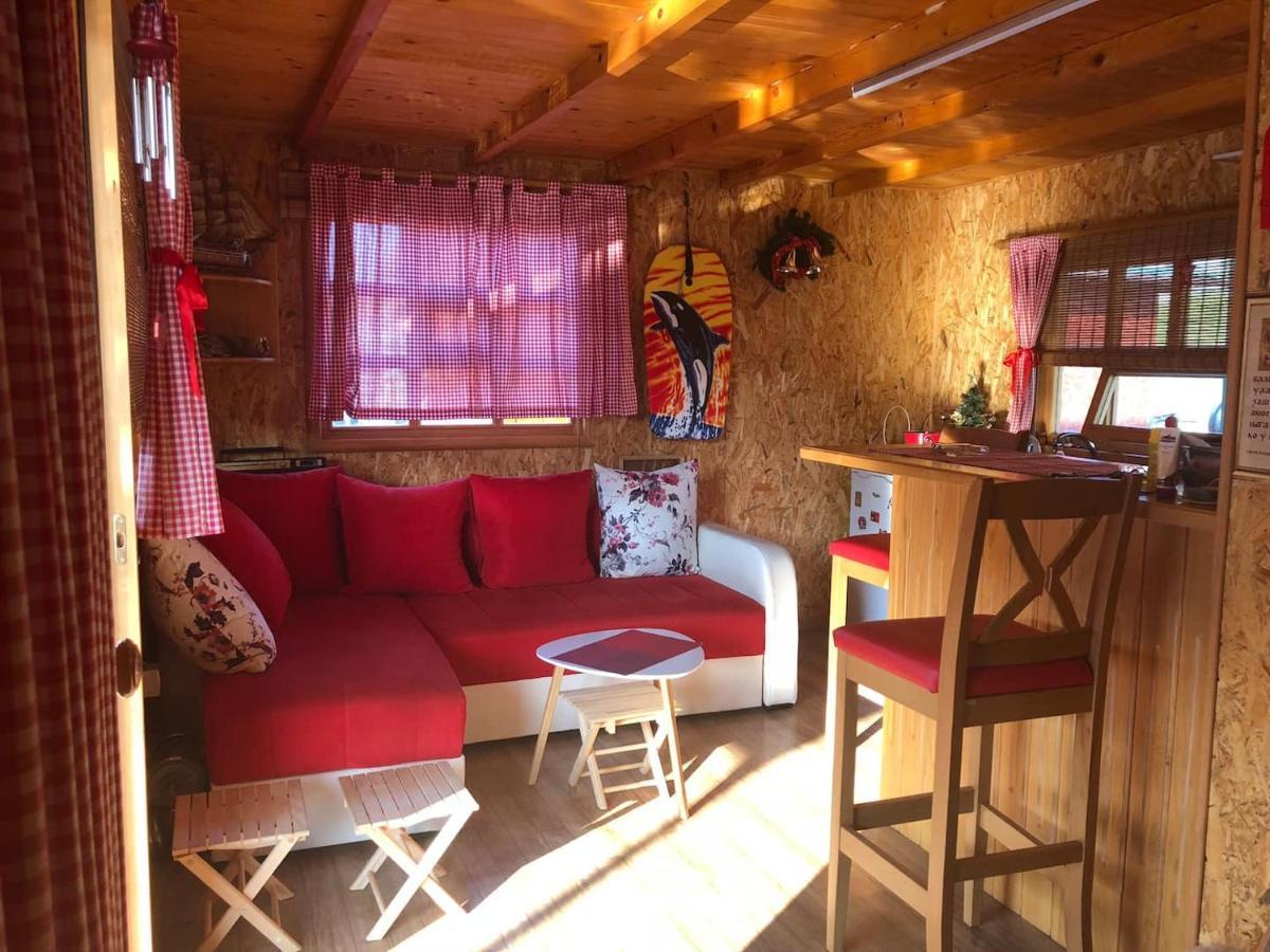 בלגרד Nature And Atractive House מראה חיצוני תמונה